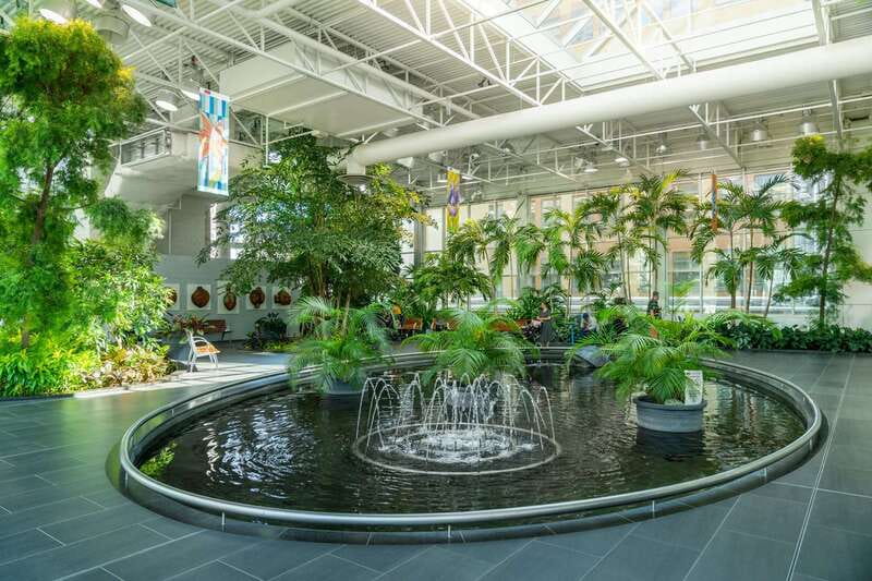 Calgary: City Highlights Walking Tour | 3-Hour - Arts Commons brings buildings and culture into the story
