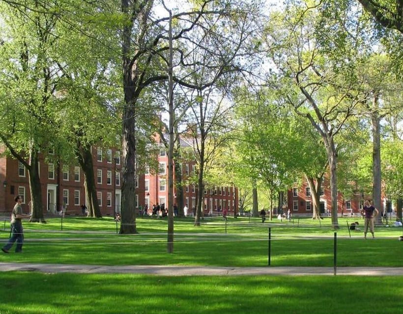 Cambridge, Massachusetts: MIT and Harvard Walking Tour - What the guides do especially well