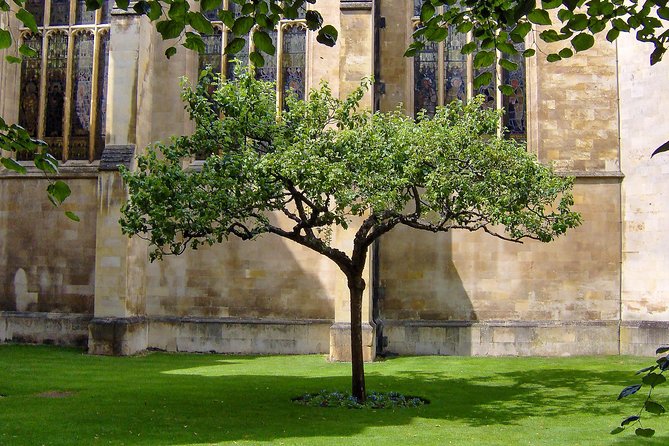 Cambridge: University Walking Tour - Group size, pace, and the practical side of walking