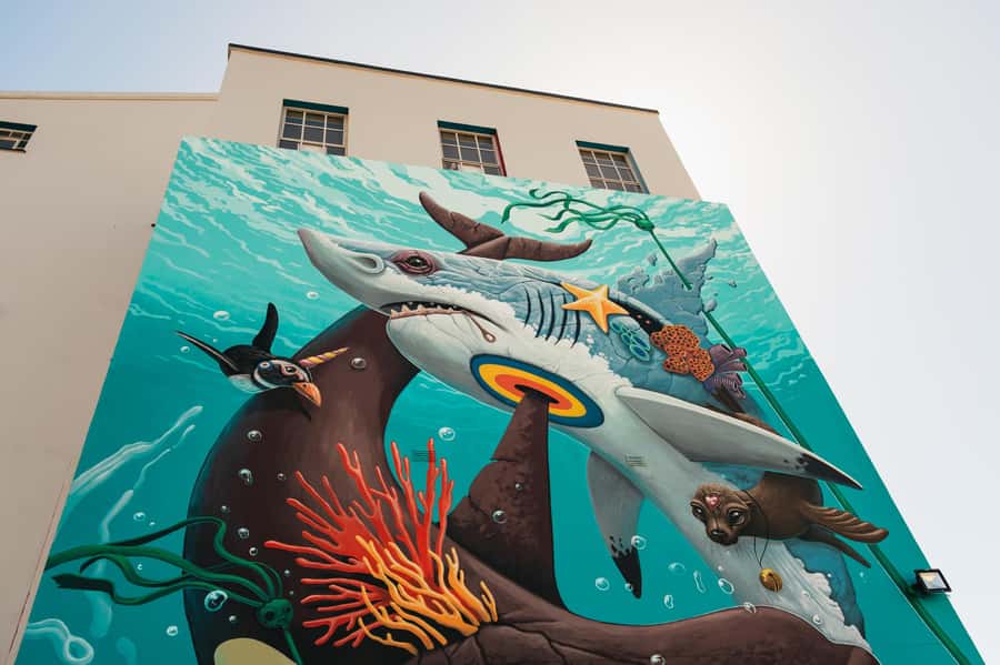 Cape Town: Street Art Walking Tour in Woodstock - Why Woodstock makes a good street art classroom