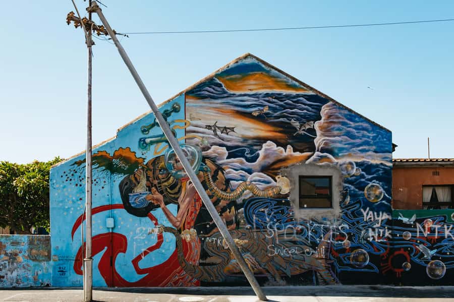 Cape Town: Street Art Walking Tour in Woodstock - Salt Orchard, coffee, and a possible studio connection