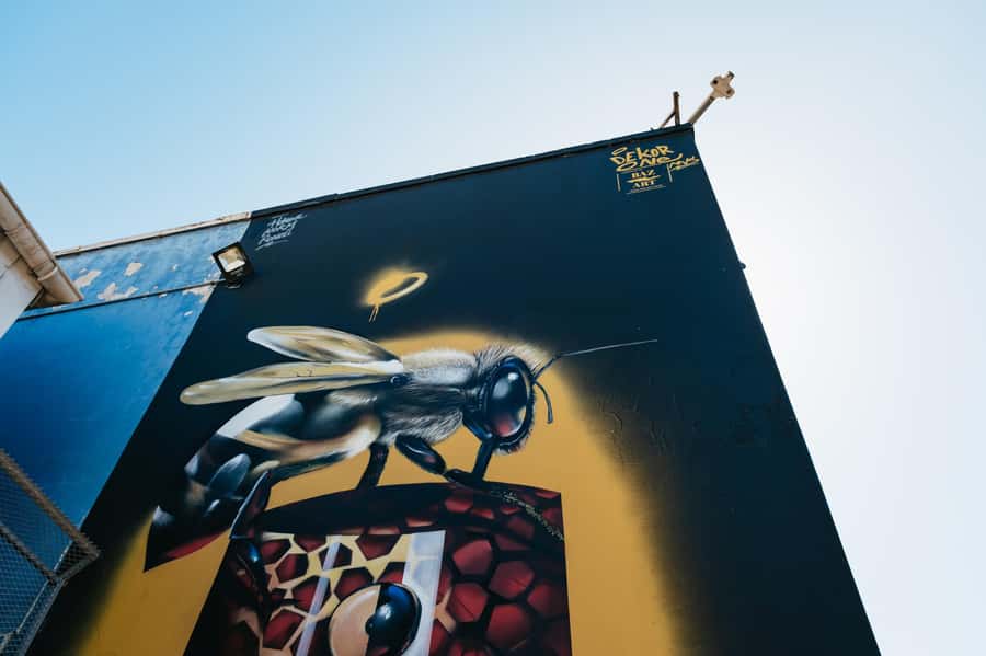 Cape Town: Street Art Walking Tour in Woodstock - The Old Biscuit Mill and Woodstock’s creative side