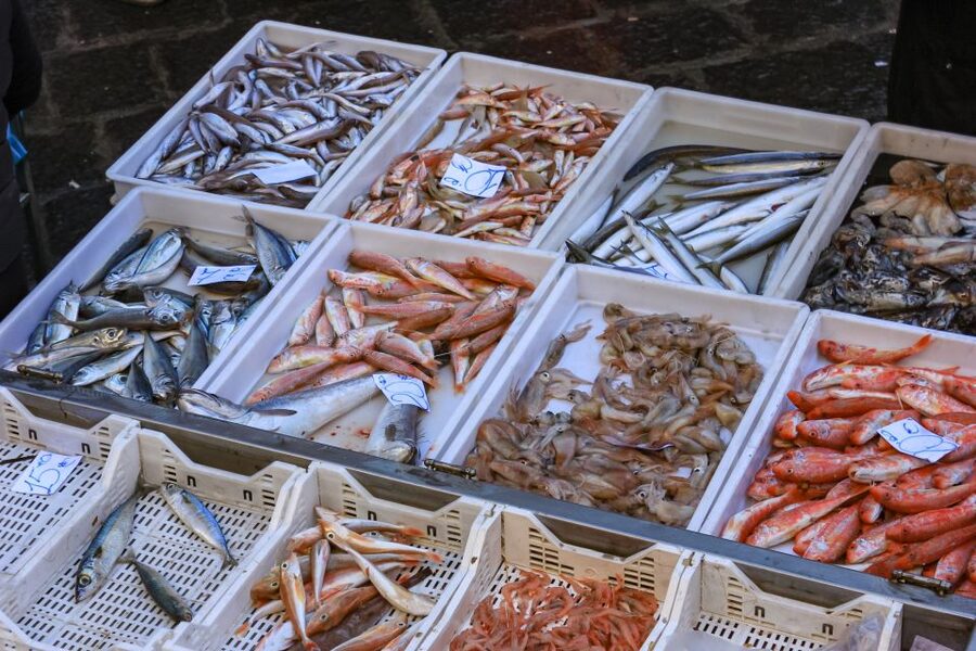 Catania: Street Food Guided Walking Tour - Key Things to Know Before You Go