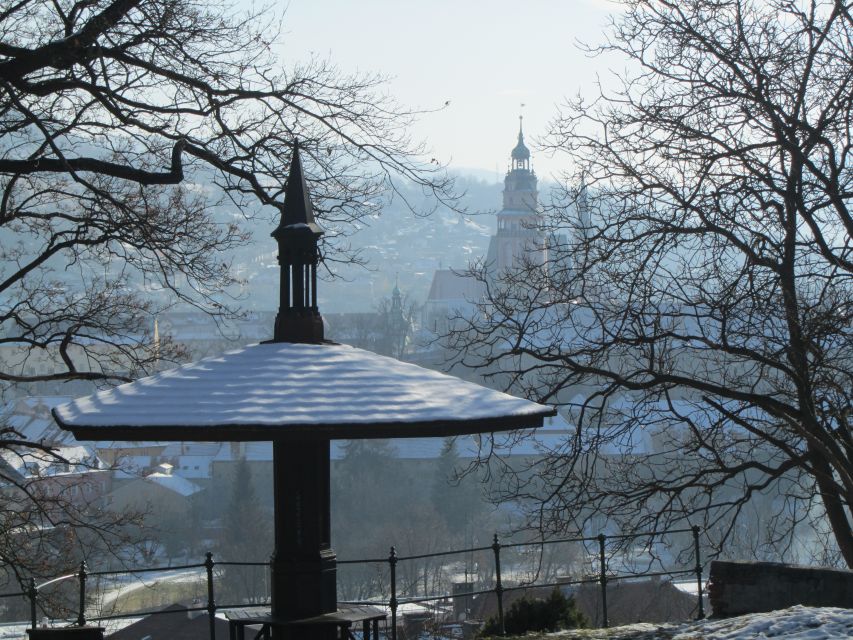 Český Krumlov: 2 Hour Private Walking Tour with Guide - Price, timing, and who gets the best value