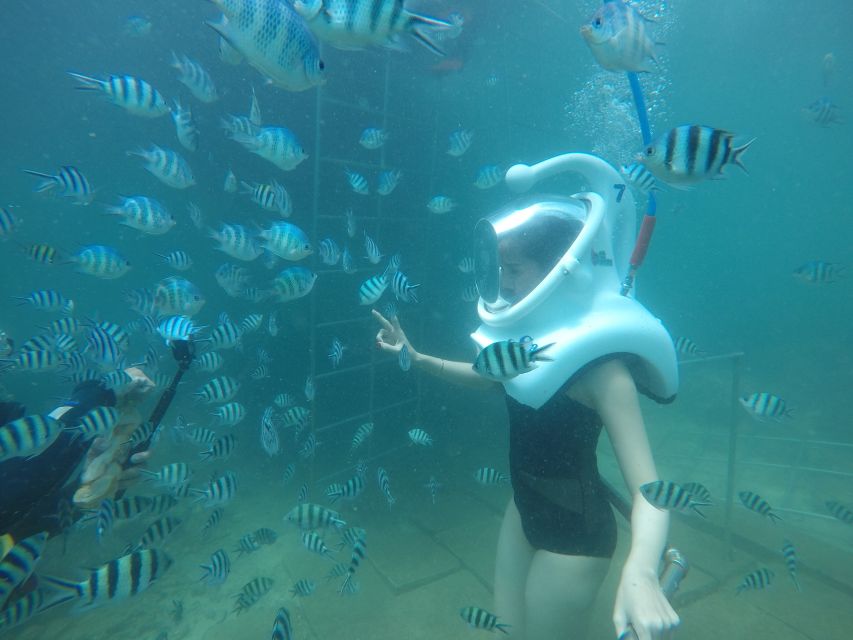 Cham Island: Underwater Walking & Snorkeling Tour - From Hoi An to Cua Dai Wharf