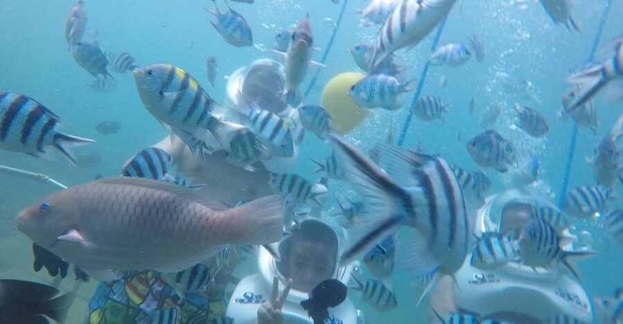 Cham Island: Underwater Walking & Snorkeling Tour - Snorkeling around Cham Island