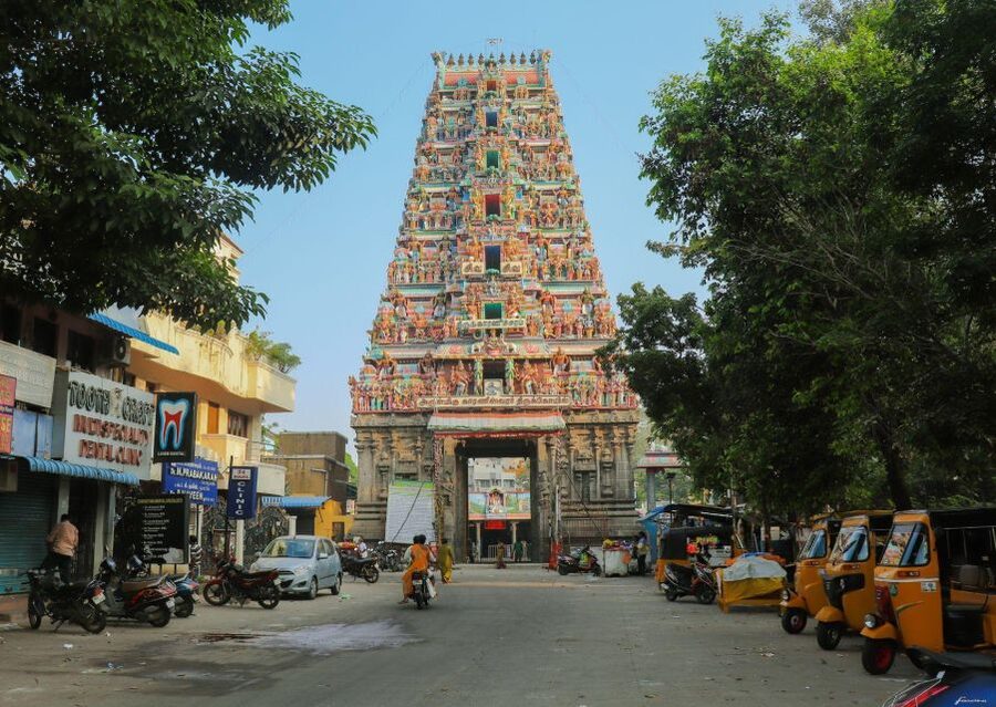 Chennai Walking Tour ( 2 hours guided tour) - Local streets, markets, and everyday Chennai