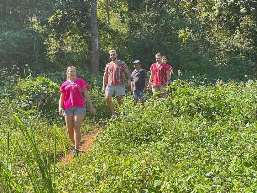Chiang Mai Untouched Elephant: Nature Walk & Waterfall Trek - A local lunch in the mahout village