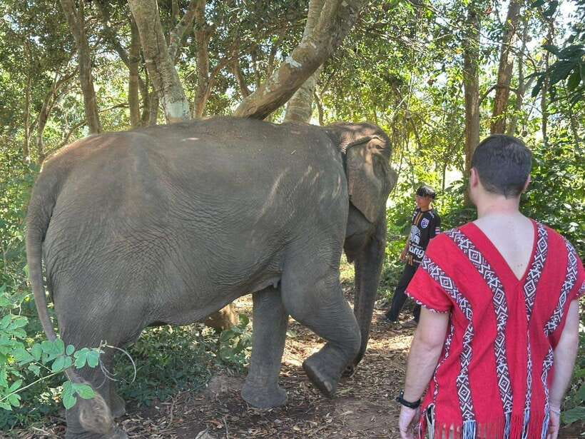 Chiang Mai Untouched Elephant: Nature Walk & Waterfall Trek - The ride from Chiang Mai matters more than the brochure suggests