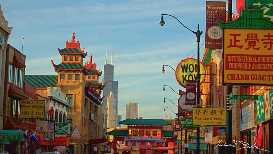 Chicago: Taste of Chinatown Food and Cultural Walking Tour - From tea and dumplings to Chinatown’s main symbols