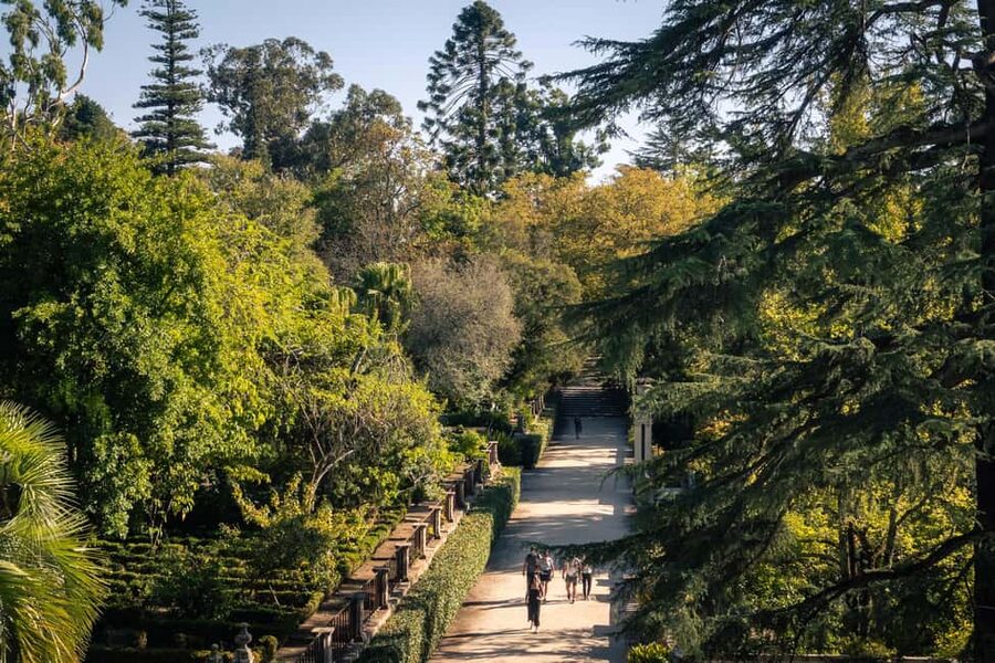 Coimbra: Private & Flexible Walking Tour in Historic Center - Machado de Castro Museum and the upper city