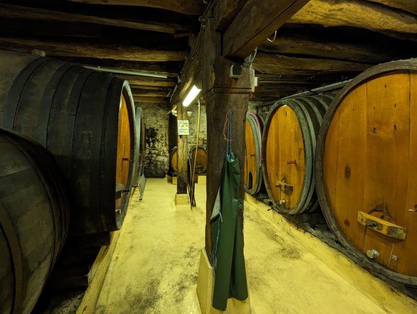 Colmar: Highlights Walking Tour and Wine Tasting - Colmar’s French and German story