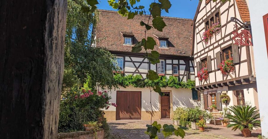 Colmar: Unusual Walking Tour with a local guide - Five things that make this Colmar walk different