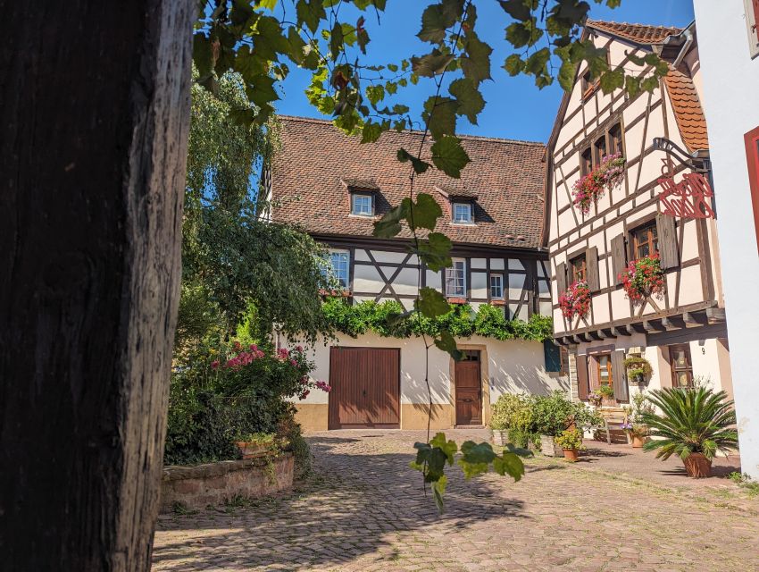 Colmar: Unusual Walking Tour with a local guide - Starting at Bruat Fountain in Champ de Mars