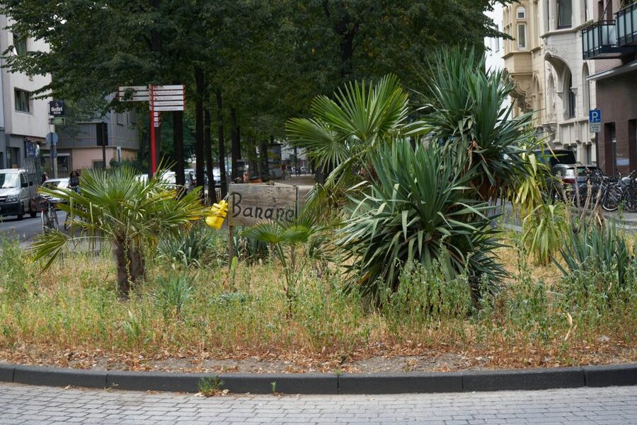 Cologne: Südstadt Guided Foodie Walking Tour - Who will enjoy this walk most