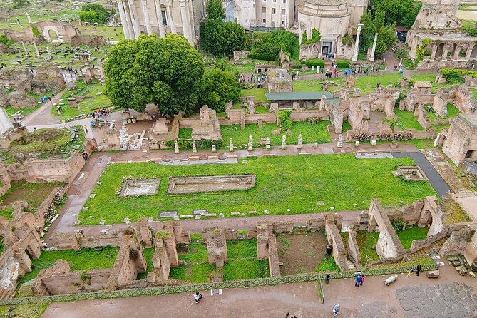 Colosseum & Ancient Rome Guided Walking Tour - The guides make or break the day