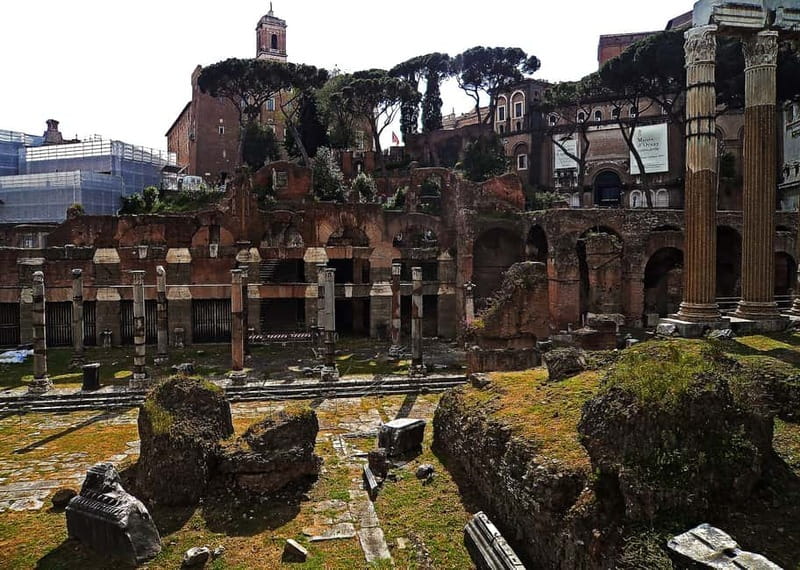 Colosseum, Forum & Palatine Hill Guided Walking tour - Guide quality is the main reason to book