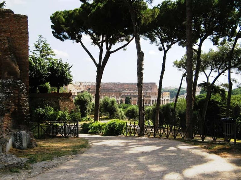 Colosseum, Forum & Palatine Hill Guided Walking tour - Price, timing, and what you receive