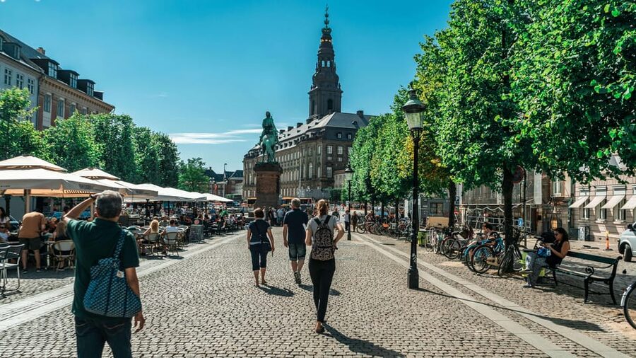 Copenhagen: Private Walking Tour - Slotsholmen and the political heart of Copenhagen