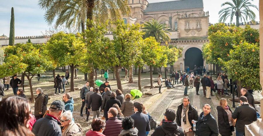 Cordoba: Monuments Walking Tour - Who should book this tour?