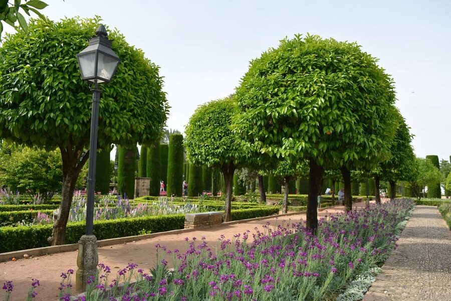 Cordoba: Monuments Walking Tour - The guides make the difference