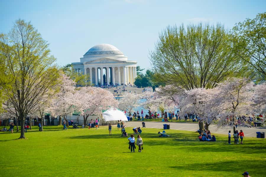 DC: Hop-On Hop-Off with 17 Stops plus Arlington Walking Tour - Key points at a glance