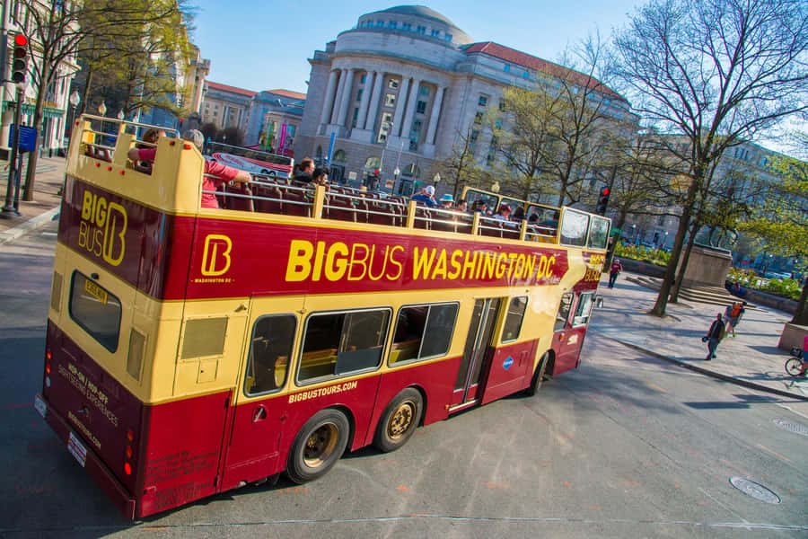 DC: Hop-On Hop-Off with 17 Stops plus Arlington Walking Tour - Who should book this DC bus tour?