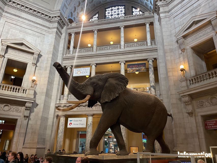 DC: Smithsonian Highlights Walking Tour with Air and Space - Air and Space: Wright Brothers and moon-era equipment