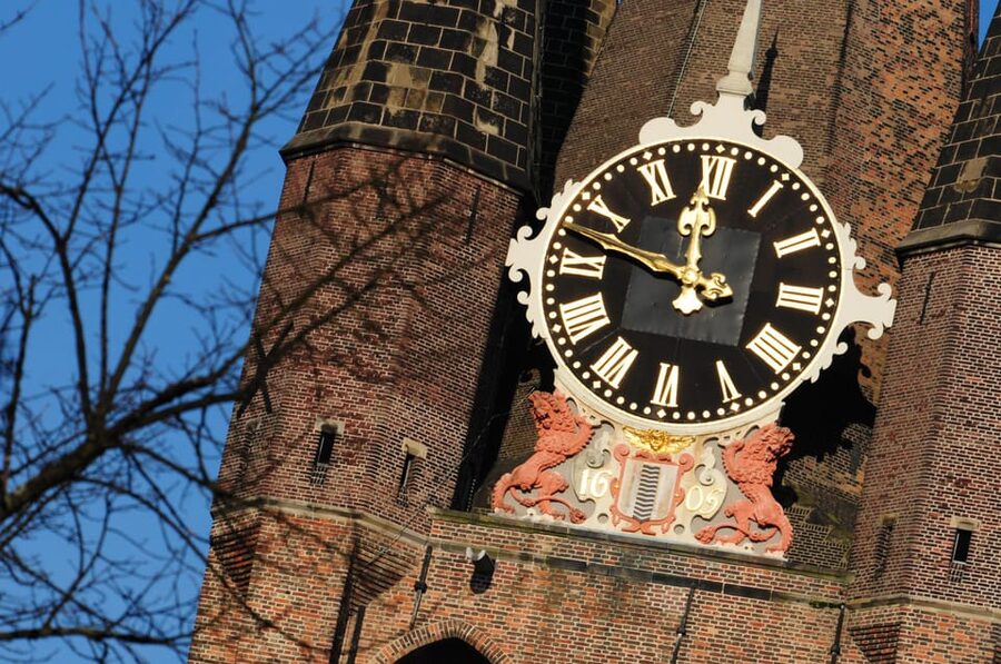 Delft: City Center Walking Tour - Key points to know before you book