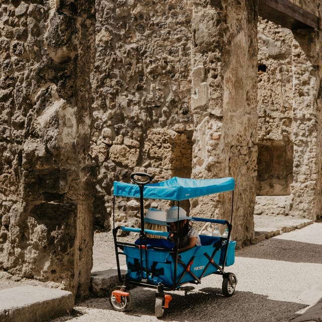Discover Pompeii: French Walking Tour of the Buried City - Meeting at Hotel Vittoria at 10:30