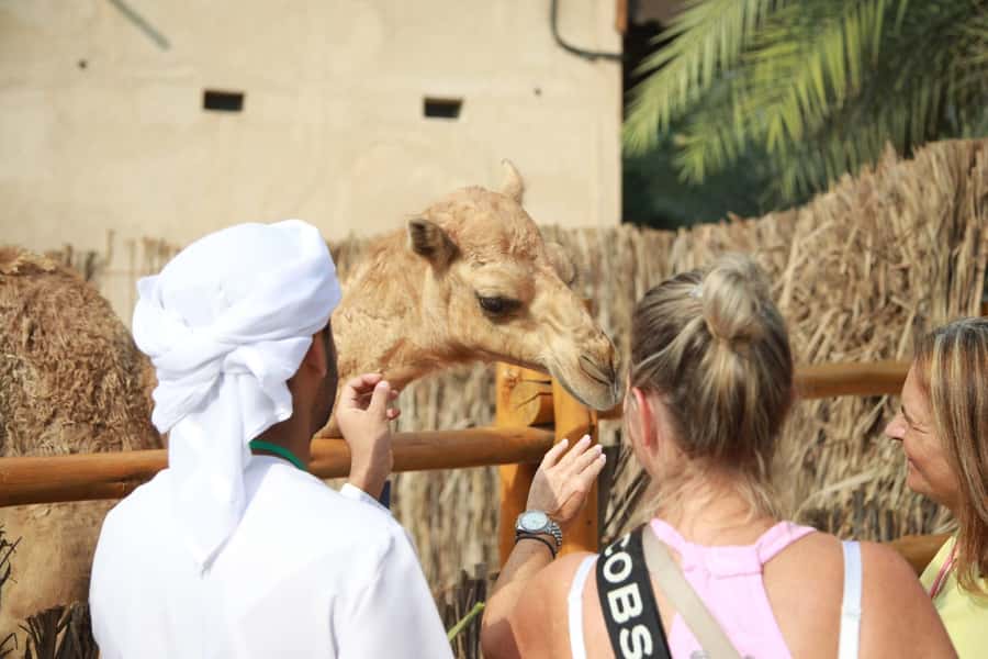 Dubai: Old City Walking Tour with Abra Ride - Al Bastakiya and the logic of wind towers