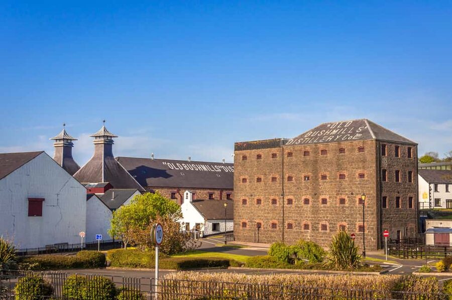 Dublin: Belfast Walk, Dunluce Castle & Giant’s Causeway - The coach journey is part of the experience