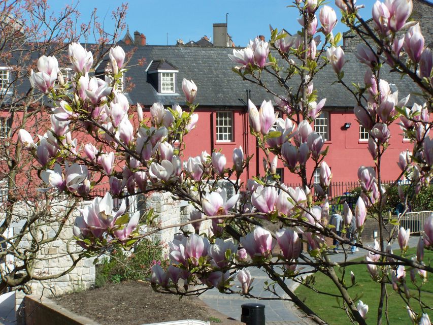 Dublin: Highlights and Hidden Corners Walking Tour - City Hall, Dublin Castle, and the medieval quarter