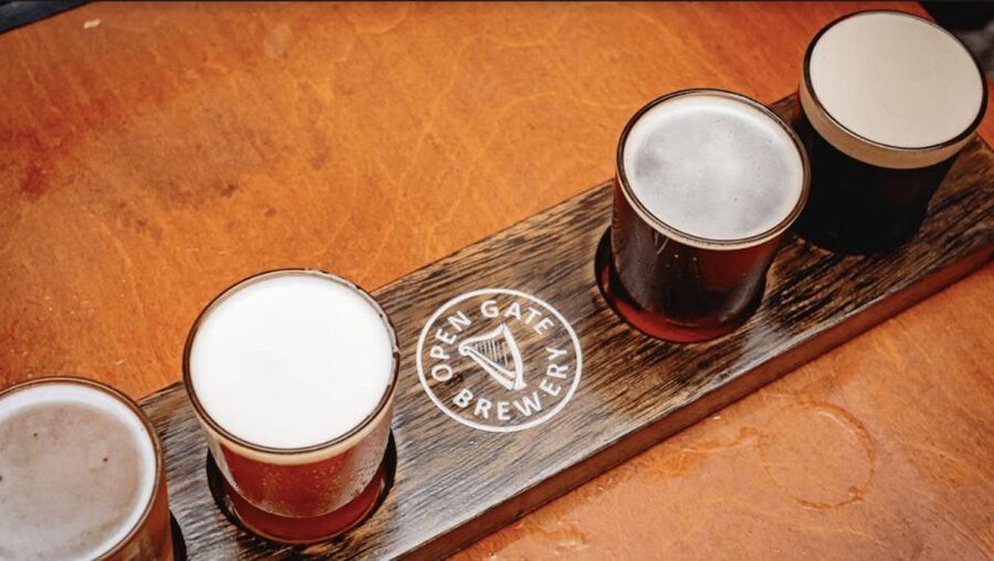 Dublin: Traditional Pubs Walking Tour with Local Guide - Should you book the Smithfield pub walk?
