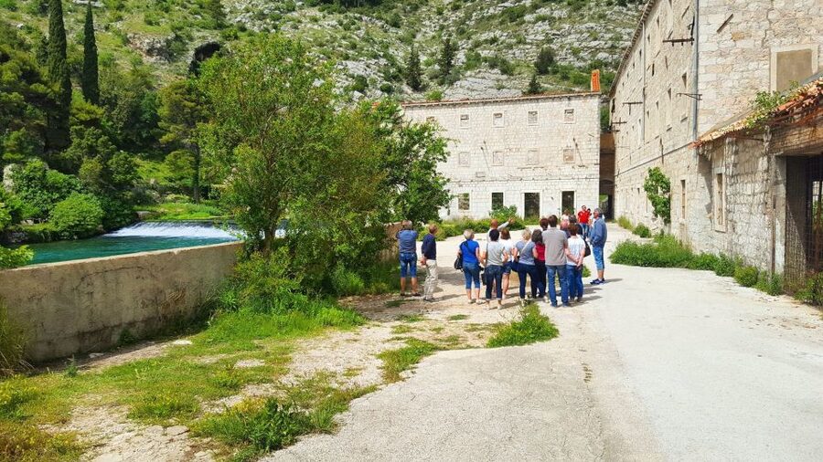 Dubrovnik: Panoramic Ride and Old Town Guided Walking Tour - Ombla spring reveals the city’s water source