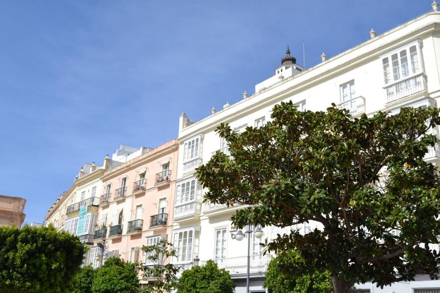 English Cádiz Tour: Walking Tour with Local Guide - What the $15 price really buys you