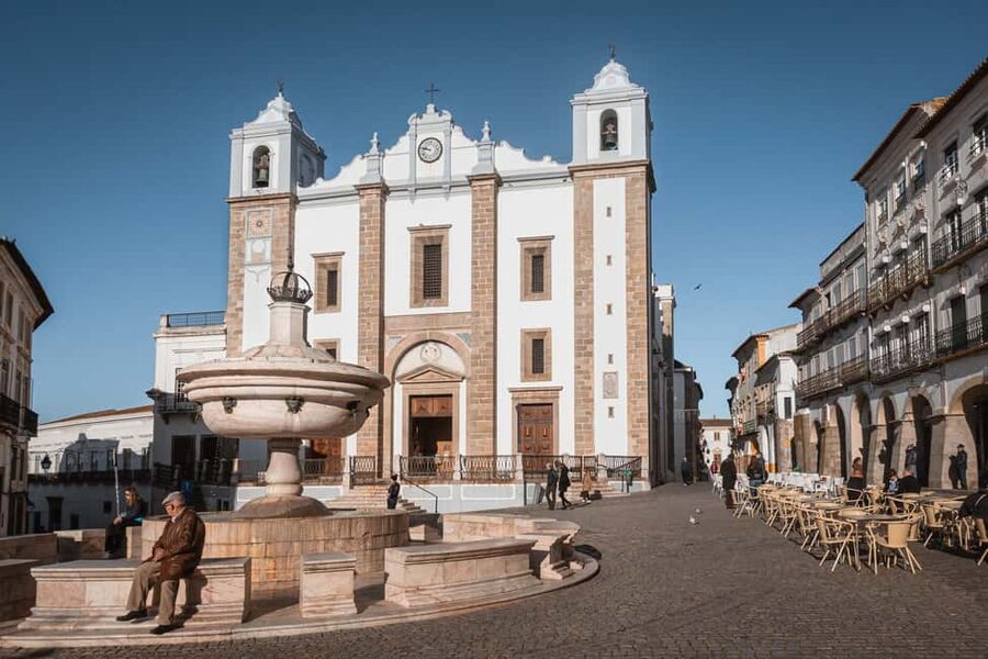 Évora: Private & Flexible Walking Tour in Historic Center - Who gets the best value from the $9 price