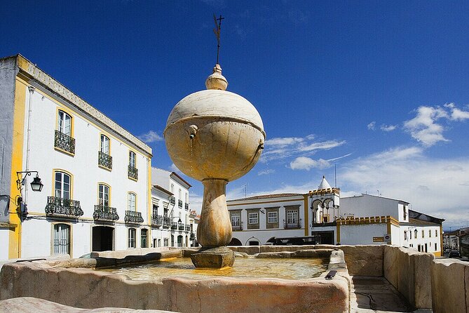 Évora: Private walking tour with tickets to main monuments - Why a private walk works well in Évora