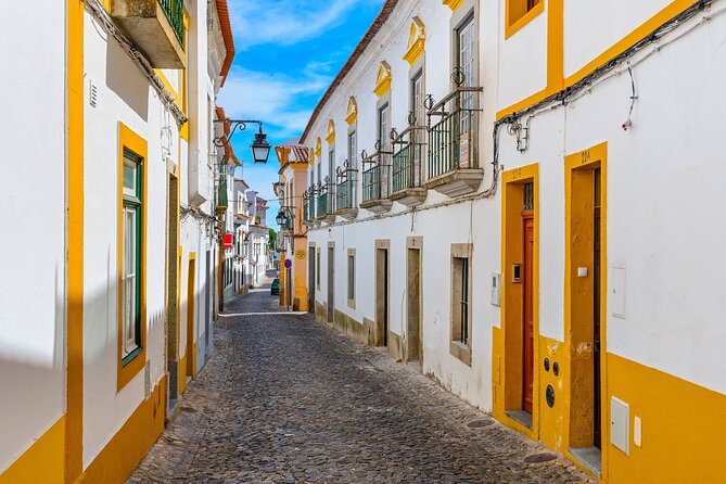 Évora: Private walking tour with tickets to main monuments - The Roman Temple and Évora’s older foundations