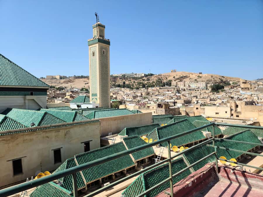 Explore Fes: Unforgettable Guided Walking Tour of the Medina - The tanneries and the working side of Fes