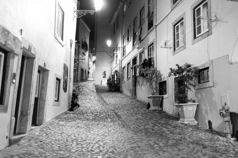 Fado: Musical Walking Tour with Food & Live Show - Who should book this fado experience?