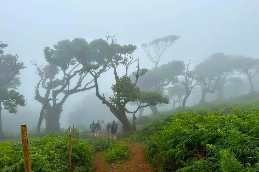 Fanal / Assobiadores - Levada Walk - What the $50 price includes