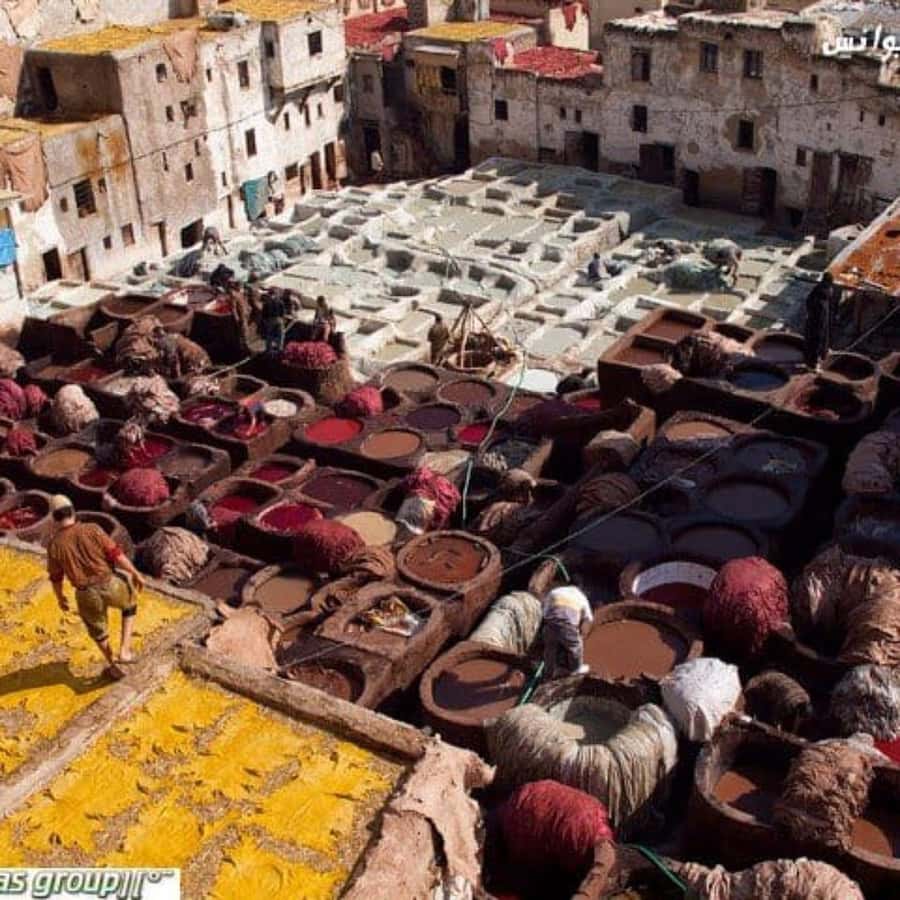 Fes: A Guided Walking Tour Through the Historic Medina - The Chouara Tannery and Fez’s leather tradition