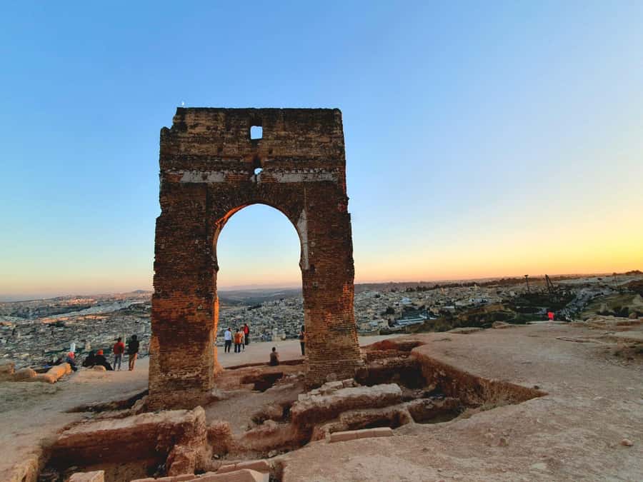 Fez: Guided Walking Tour of the Historic Medina - The tanneries, color, and hard physical work
