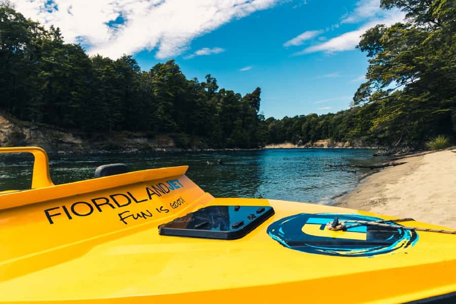 Fiordland: Jet Boat & Nature Walk Experience from Te Anau - Who should book this Fiordland outing?