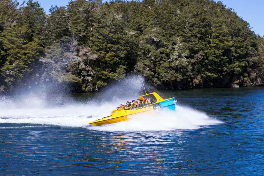 Fiordland: Jet Boat & Nature Walk Experience from Te Anau - Ancient beech forest and the Anduin River