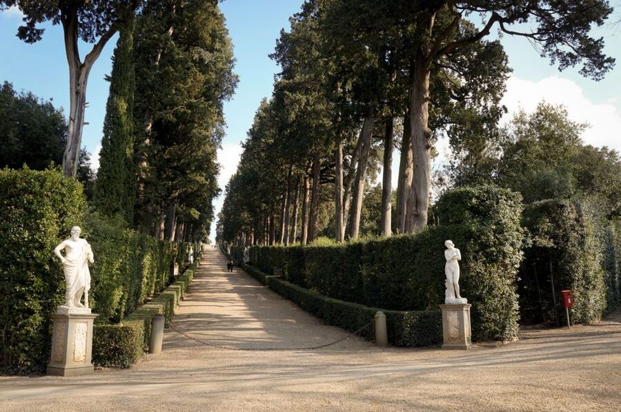 Florence: Pitti Palace Entry Ticket and Guided Walking Tour - Is the $82 Price Worth It?