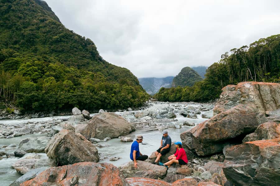Fox Glacier: Half Day Walking & Nature Tour with Local Guide - The afternoon begins with a drive from Franz Josef