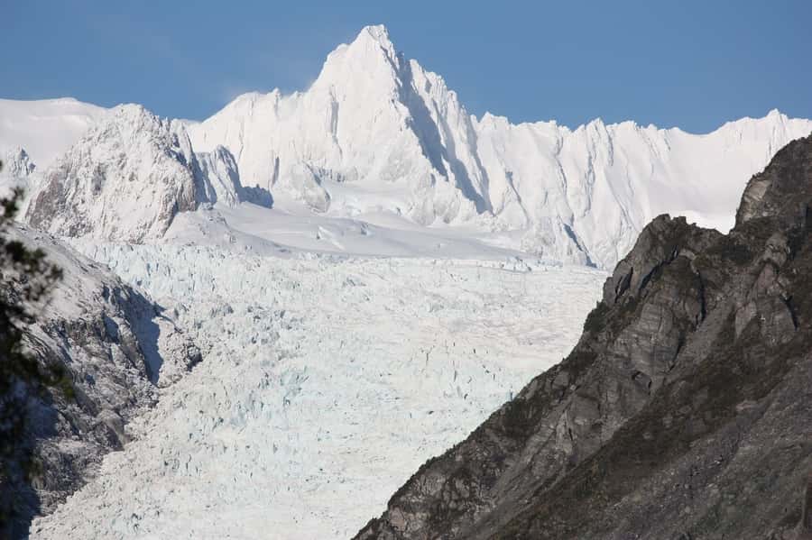 Fox Glacier: Half Day Walking & Nature Tour with Local Guide - A gentle climb through old rainforest