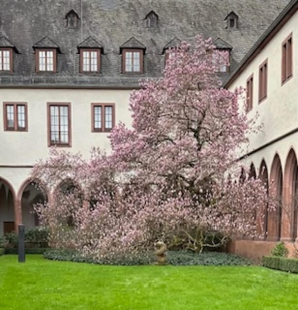 Frankfurt on Foot Daily Walking Tour in English - House Wertheim and the Few Buildings That Survived